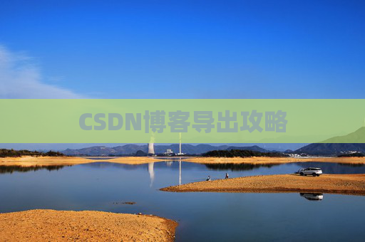 CSDN博客导出攻略